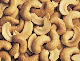 Raw Cashew Nuts Manufacturer Supplier Wholesale Exporter Importer Buyer Trader Retailer in Mumbai  India