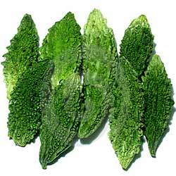 Karela Capsules Manufacturer Supplier Wholesale Exporter Importer Buyer Trader Retailer in Ghaziabad Uttar Pradesh India