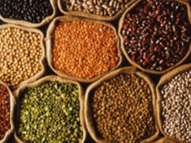 Agro Products Manufacturer Supplier Wholesale Exporter Importer Buyer Trader Retailer in new delhi Delhi India