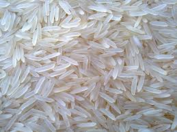 Manufacturers Exporters and Wholesale Suppliers of Basmati Rice new delhi Delhi