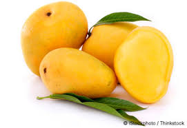 Manufacturers Exporters and Wholesale Suppliers of Mango Madurai Tamil Nadu