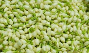 Jasmine Flower Manufacturer Supplier Wholesale Exporter Importer Buyer Trader Retailer in Madurai Tamil Nadu India