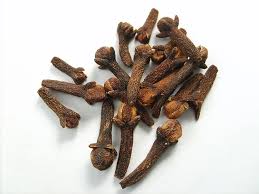 Manufacturers Exporters and Wholesale Suppliers of Cloves Hyderabad Andhra Pradesh
