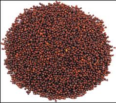 Manufacturers Exporters and Wholesale Suppliers of Mustard Khari baoli Delhi