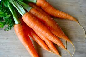 Manufacturers Exporters and Wholesale Suppliers of Carrot Ahmedabad Gujarat