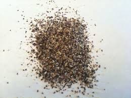 Manufacturers Exporters and Wholesale Suppliers of Pepper Ahmedabad Gujarat