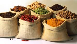 Manufacturers Exporters and Wholesale Suppliers of Spices Jodhpur Rajasthan