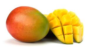 Mangoes Manufacturer Supplier Wholesale Exporter Importer Buyer Trader Retailer in Dapoli Maharashtra India