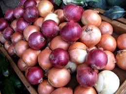 Manufacturers Exporters and Wholesale Suppliers of Onions Bombay Maharashtra