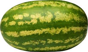 Manufacturers Exporters and Wholesale Suppliers of Watermelon Bombay Maharashtra