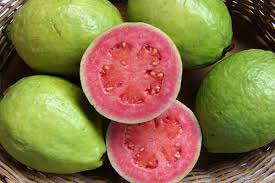 Guava Manufacturer Supplier Wholesale Exporter Importer Buyer Trader Retailer in Anna Nager  India