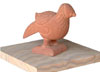Manufacturers Exporters and Wholesale Suppliers of Bird Distt.Dausa Rajasthan