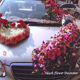 Car Decoration
