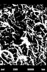 Cooh  Functionalized Mwcnt 01