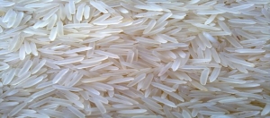 Basmati Rice 1121