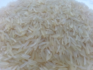 Manufacturers Exporters and Wholesale Suppliers of 1121 Creamy/White Sella Ghaziabad Uttar Pradesh