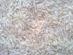 Manufacturers Exporters and Wholesale Suppliers of 1121 Raw Rice Ghaziabad Uttar Pradesh 1121 Raw Rice