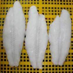 Pangassius  Fillets