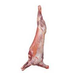Manufacturers Exporters and Wholesale Suppliers of Lamb and Mutton Standard and Halal Bareilly Uttar Pradesh