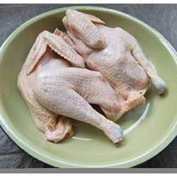 Manufacturers Exporters and Wholesale Suppliers of Chicken meat2 Bareilly Uttar Pradesh