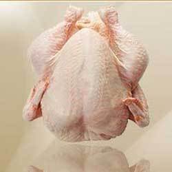 Manufacturers Exporters and Wholesale Suppliers of Frozen Chicken meat Bareilly Uttar Pradesh