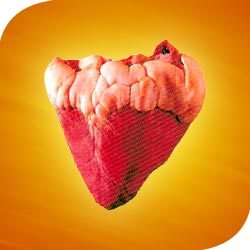 Manufacturers Exporters and Wholesale Suppliers of Heart Bareilly Uttar Pradesh
