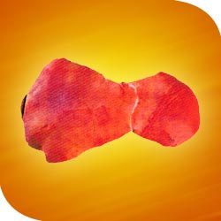 Manufacturers Exporters and Wholesale Suppliers of Liver Bareilly Uttar Pradesh