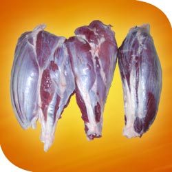 Manufacturers Exporters and Wholesale Suppliers of Shink shank Bareilly Uttar Pradesh