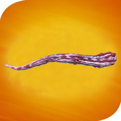 Manufacturers Exporters and Wholesale Suppliers of Tail Bareilly Uttar Pradesh