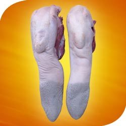 Manufacturers Exporters and Wholesale Suppliers of Tongue Bareilly Uttar Pradesh