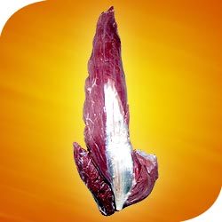 Manufacturers Exporters and Wholesale Suppliers of Tenderlion Bareilly Uttar Pradesh