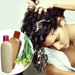 Manufacturers Exporters and Wholesale Suppliers of Hair Care Products Delhi Delhi