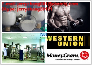 Manufacturers Exporters and Wholesale Suppliers of Mesterolone Proviron Nanjing 