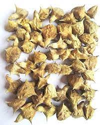 Manufacturers Exporters and Wholesale Suppliers of Tribulus Terrestris (Nerinji Mul) Tuticorin Tamil Nadu
