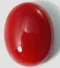 Manufacturers Exporters and Wholesale Suppliers of RED CORAL Lal Munga  Lal Prabal Burdwan West Bengal