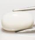 Manufacturers Exporters and Wholesale Suppliers of Sada Munga  Prabal  WHITE CORAL Burdwan West Bengal