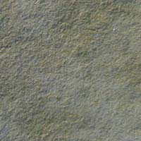 Manufacturers Exporters and Wholesale Suppliers of Kota Stone Bhavnagar Gujarat