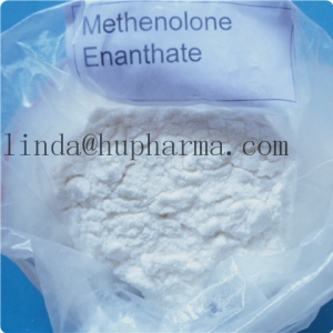 Manufacturers Exporters and Wholesale Suppliers of Hupharma Methenolone Enanthate Primobolan injectable steroids Powder shenzhen 