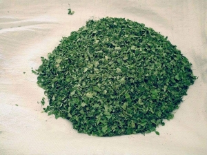 Manufacturers Exporters and Wholesale Suppliers of ORGANIC MORINGA LEAVES Tuticorin Tamil Nadu