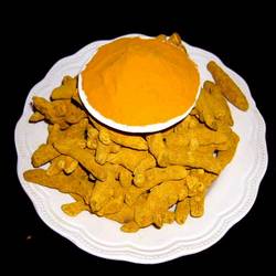 Turmeric Powder Manufacturer Supplier Wholesale Exporter Importer Buyer Trader Retailer in Hyderabad Andhra Pradesh India