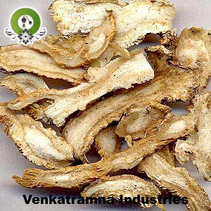 Manufacturers Exporters and Wholesale Suppliers of Angelica Root Oil Kannauj Uttar Pradesh