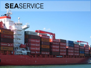 International Shipping Agent