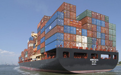 Cargo Shipping Agent
