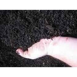 Manufacturers Exporters and Wholesale Suppliers of Press Mud Base Compost Dewas Madhya Pradesh