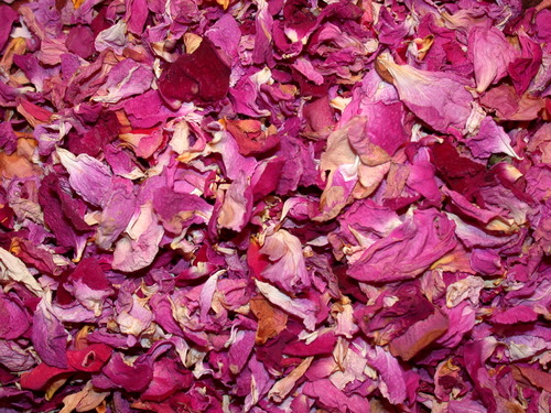 Manufacturers Exporters and Wholesale Suppliers of Rose Leaf Sojat Rajasthan