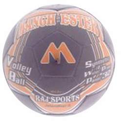 Manufacturers Exporters and Wholesale Suppliers of Beach Rubber Volleyball Jalandhar Punjab