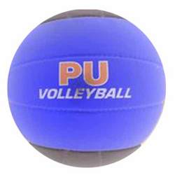 Manufacturers Exporters and Wholesale Suppliers of PU Blue Volleyball Jalandhar Punjab