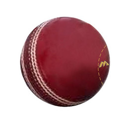 Manufacturers Exporters and Wholesale Suppliers of Tournament Ball Jalandhar Punjab