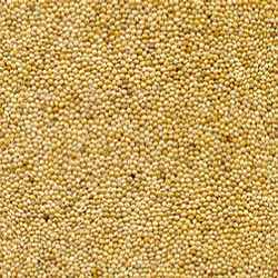 Yellow Millet Grains