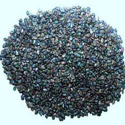 Sunhemp Seed